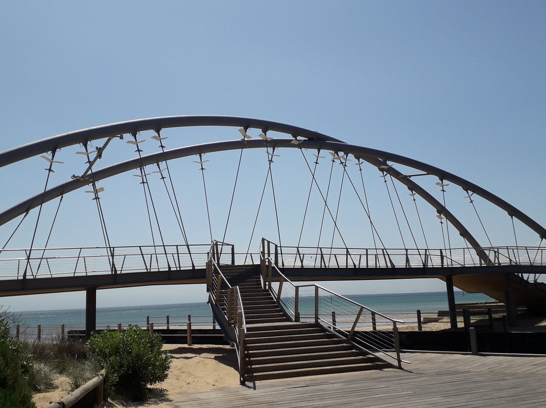 Frankston Regional Foreshore Playground景点图片