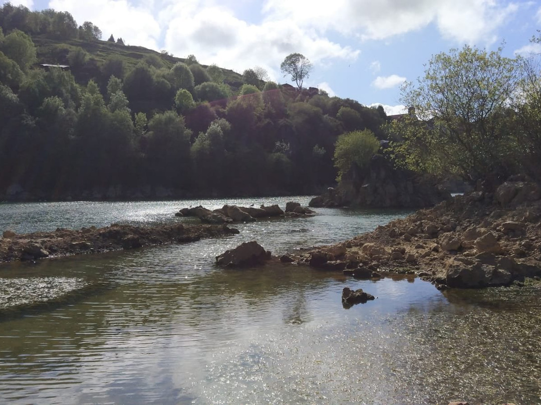 La Arboleda旅游攻略图片