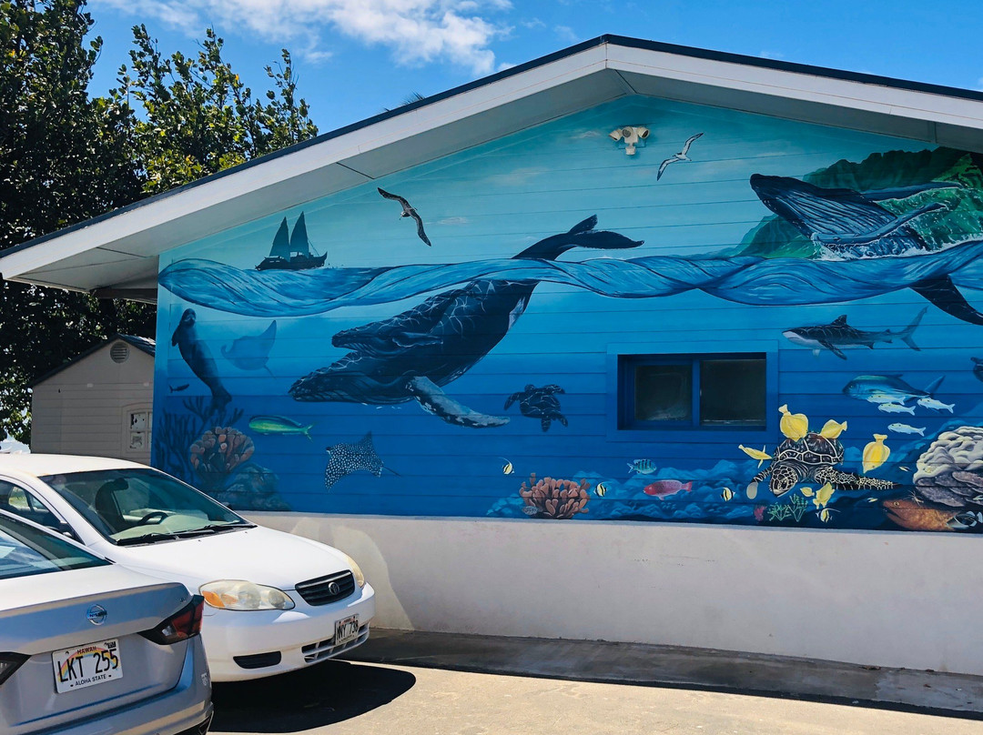 Hawaiian Islands Humpback Whale Sanctuary Visitor Center-基黑必去景点