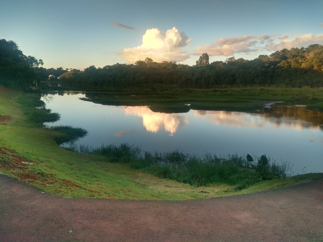 Parque do Lago景点图片