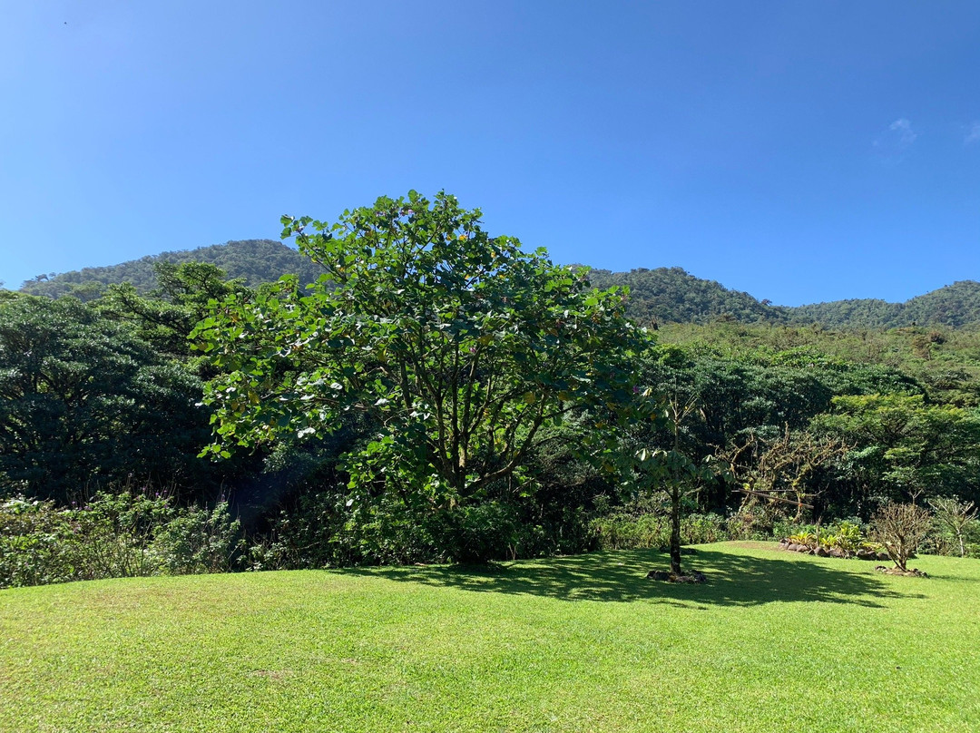 El Canto Del Rio主图