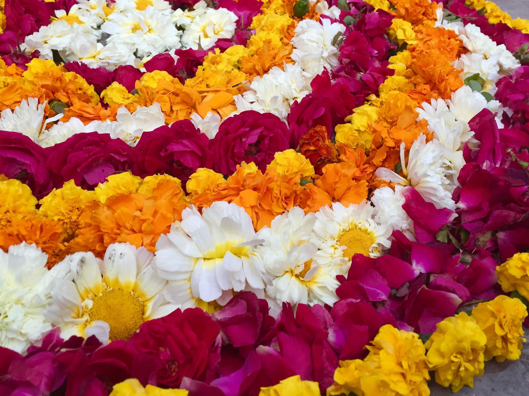 VIAJE SOLIDARIO HAPPY INSIDE-普希卡必去景点