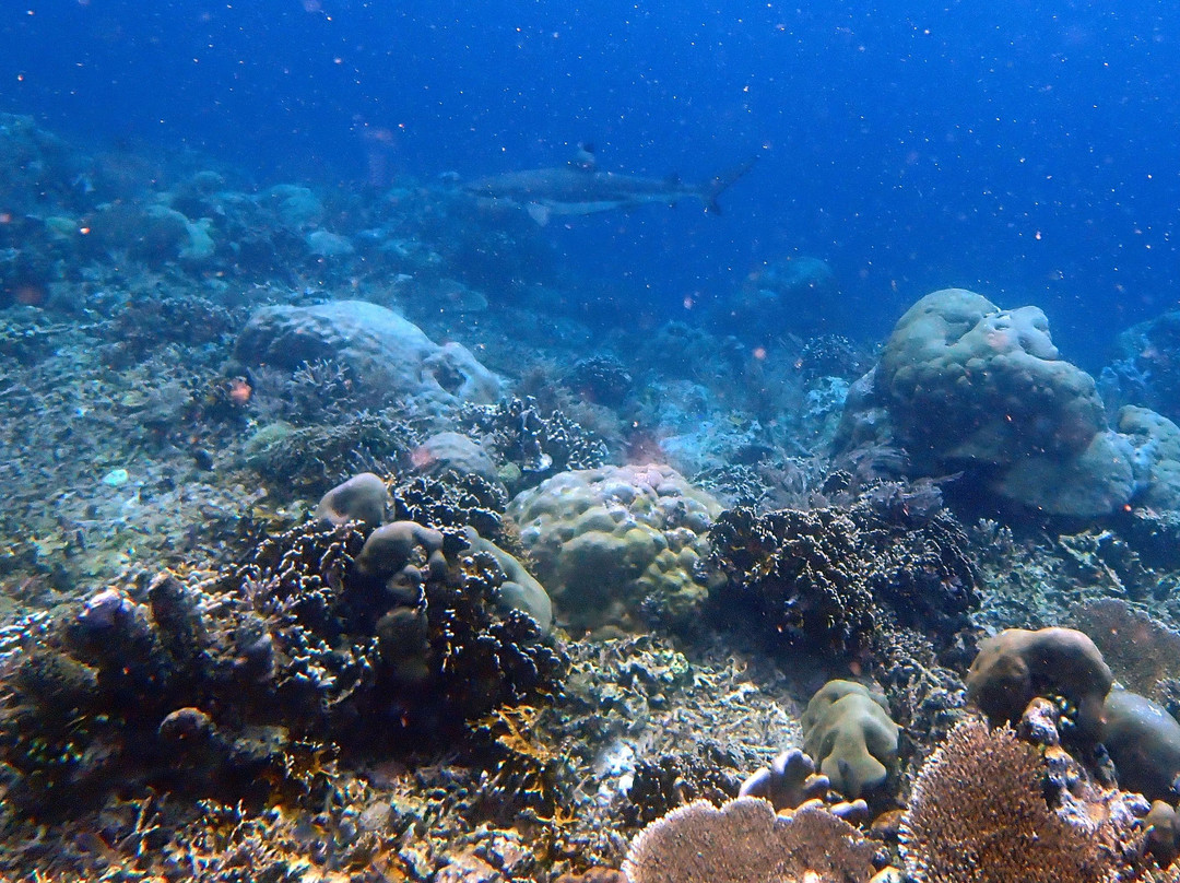 Cape Kri-四王岛必去景点