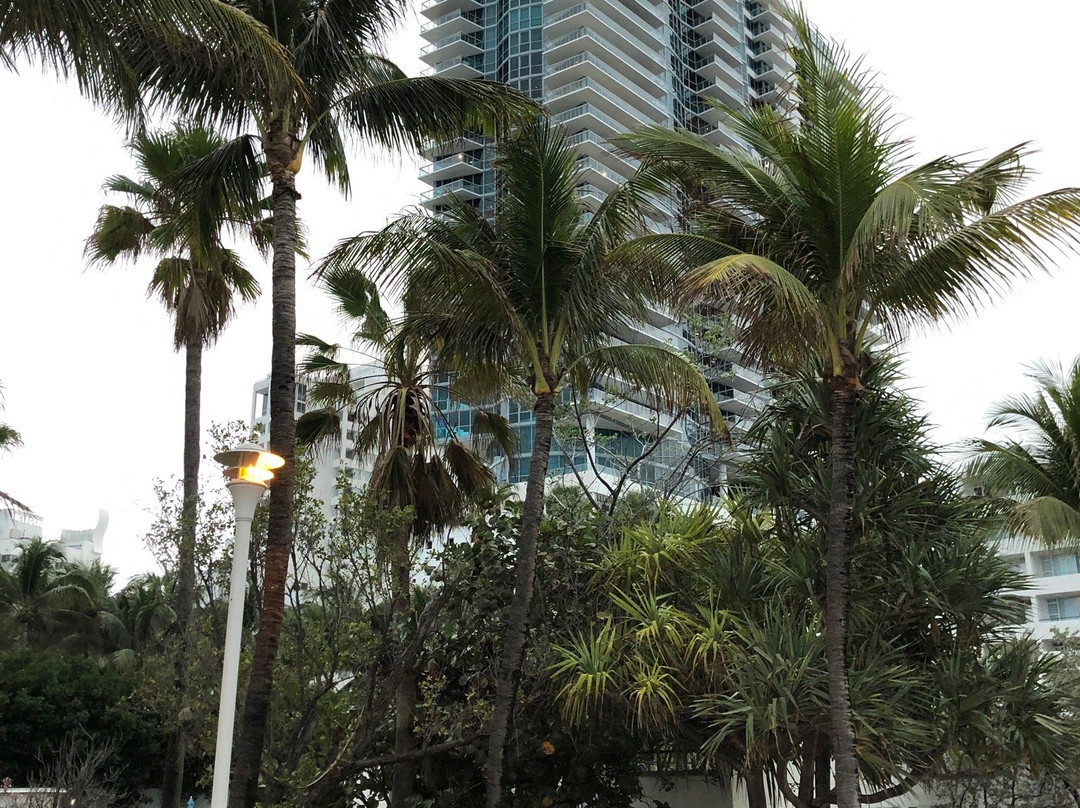 迈阿密沙滩浮桥景点图片