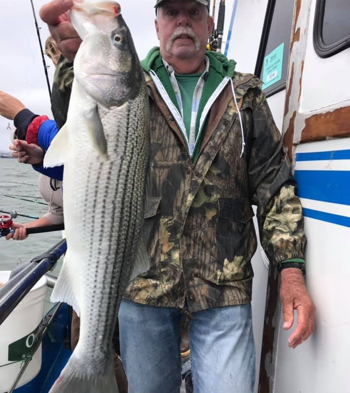 Fish Emeryville-埃默里维尔必去景点