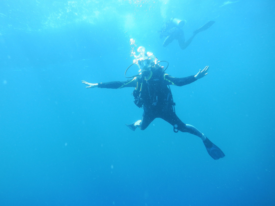 Blue Waters Dive'n-Speyside必去景点