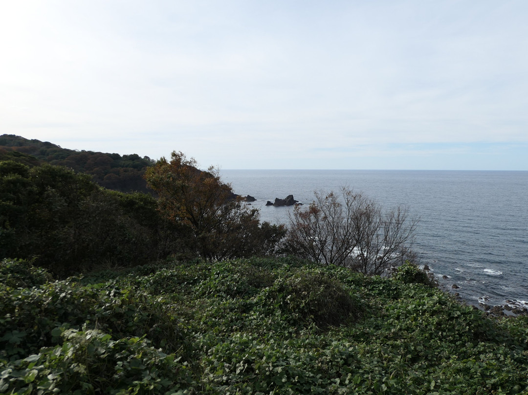 Kinourakaiiki Park景点图片