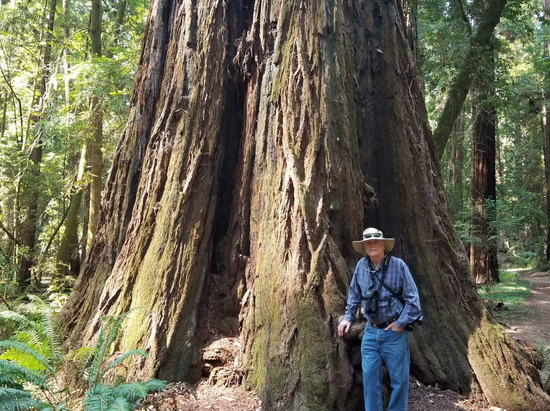 Hendy Woods State Park景点图片