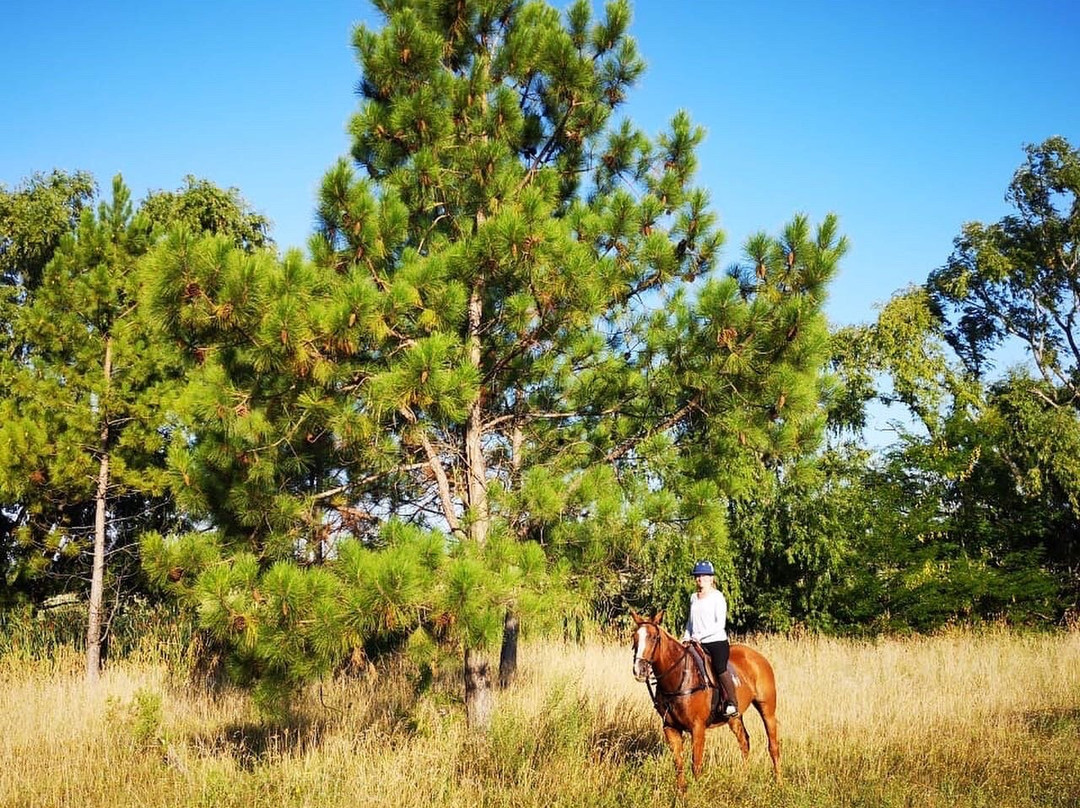 La Amistad Polo-Pilar必去景点