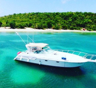 Nauti Mermaid Charters-维切克岛必去景点