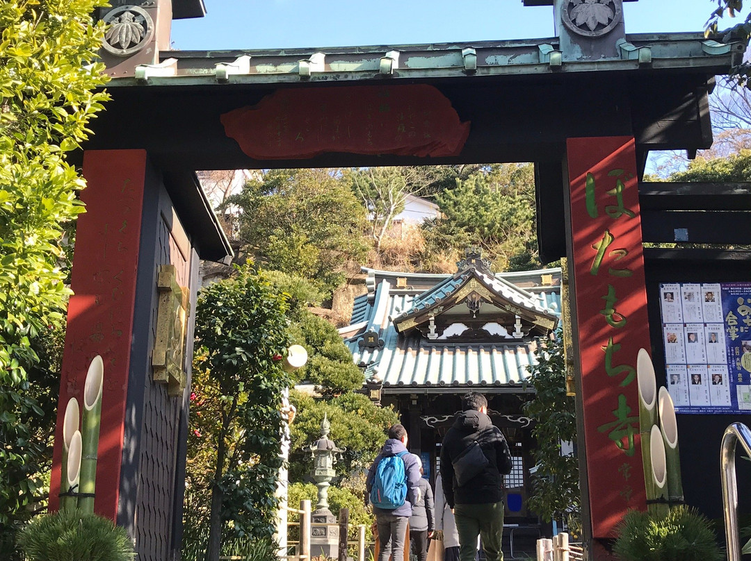 Joei Temple-镰仓市必去景点