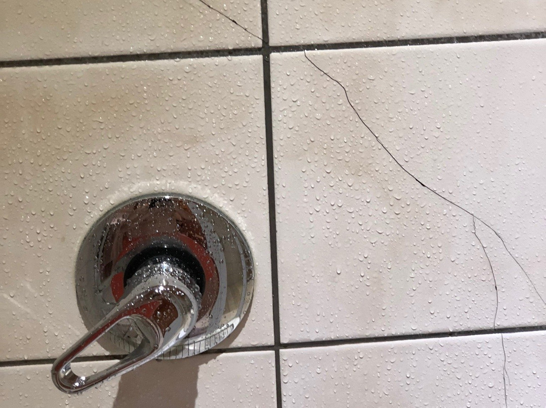 Oak Tree Lodge主图