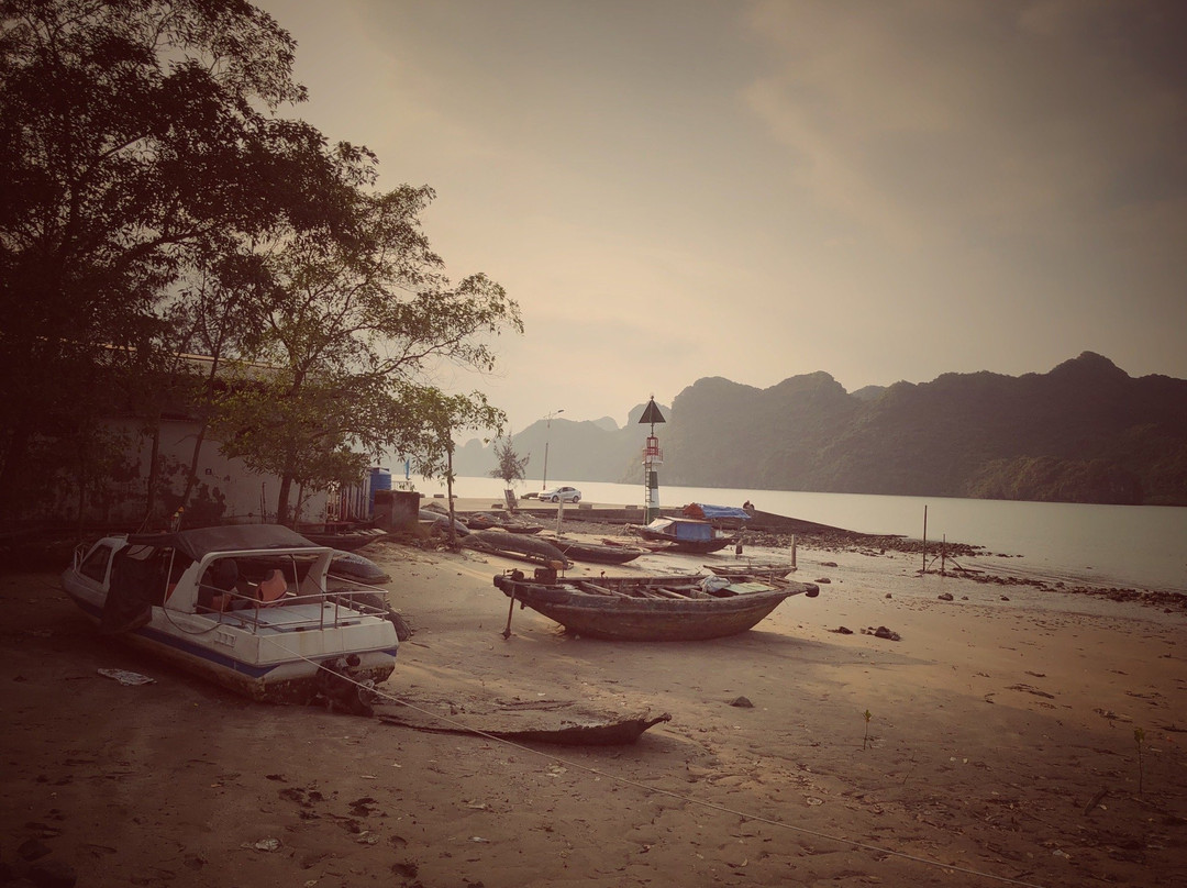 Asia Tour Advisor-Ben Tre必去景点