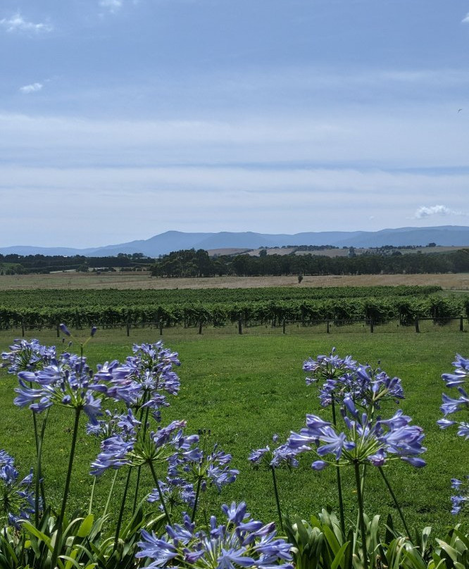 Yering Farm Wines-优伶必去景点