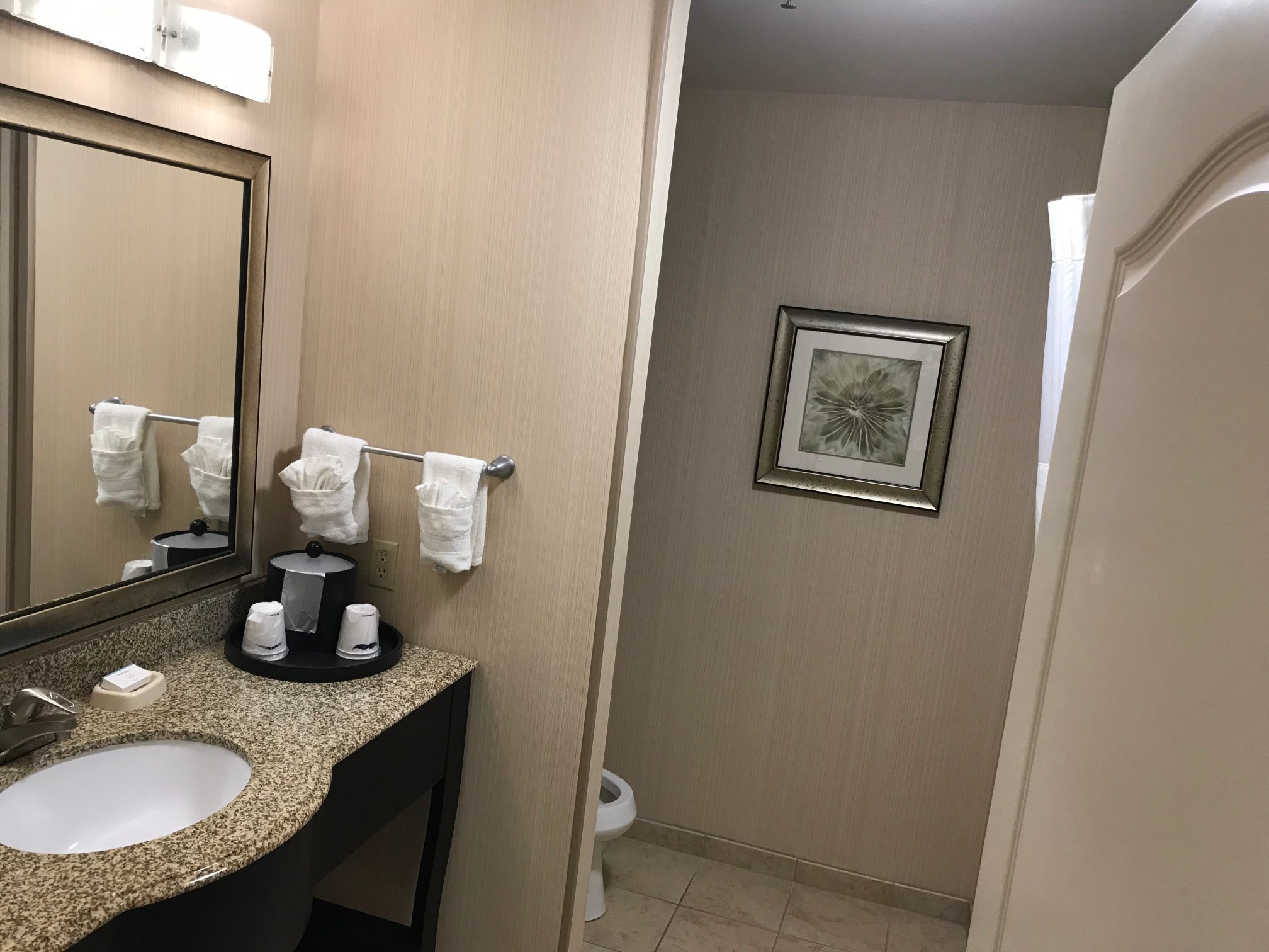 Hampton Inn Pecos-浴室