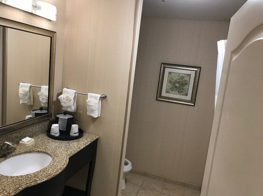 Hampton Inn Pecos主图