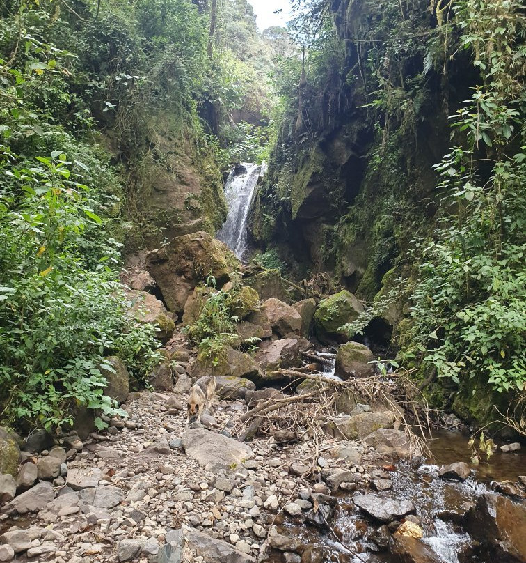 Reserva Orquideas-Jardin必去景点