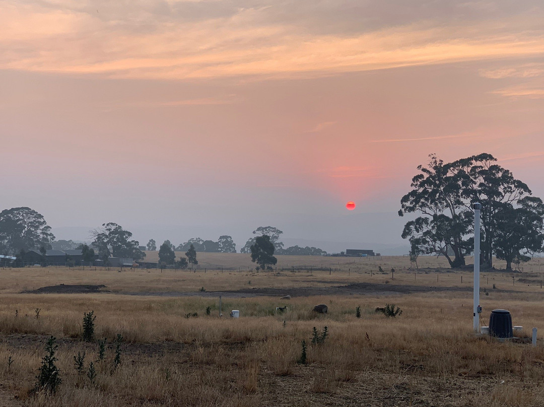 Rooks Edge Bed & Breakfast主图