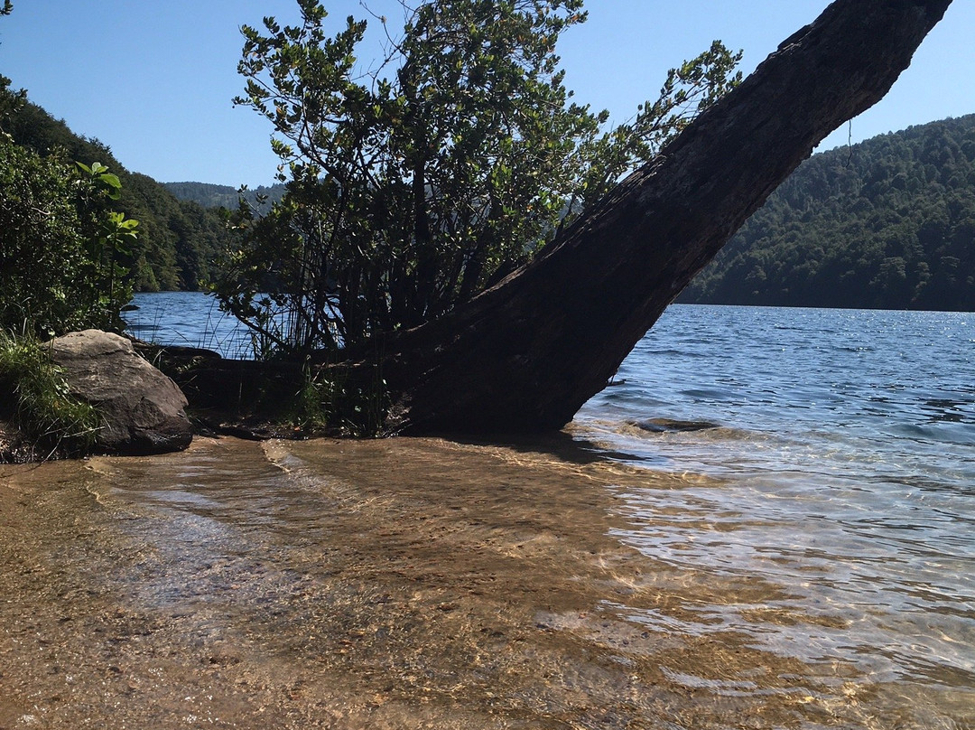 Lago Tinquilco-Caburgua必去景点