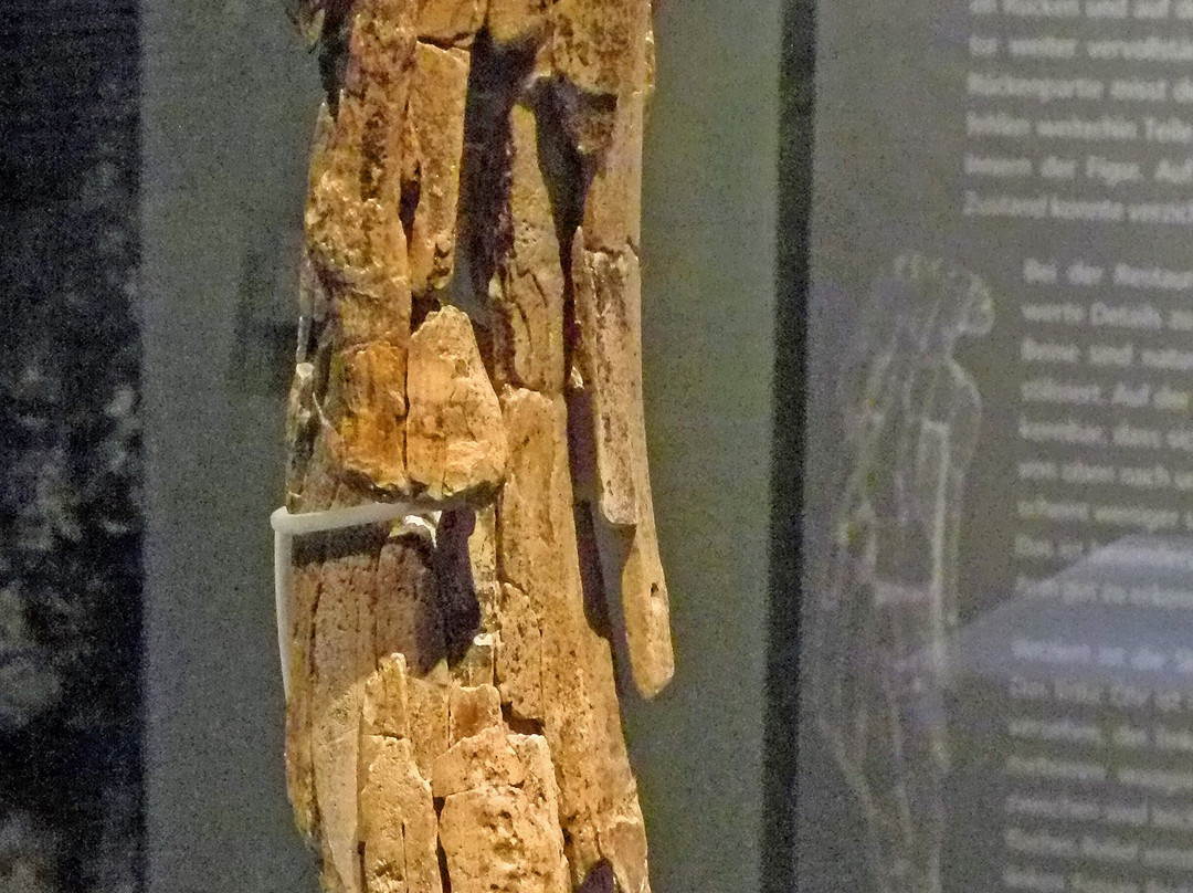 Museum Ulm-乌尔姆必去景点