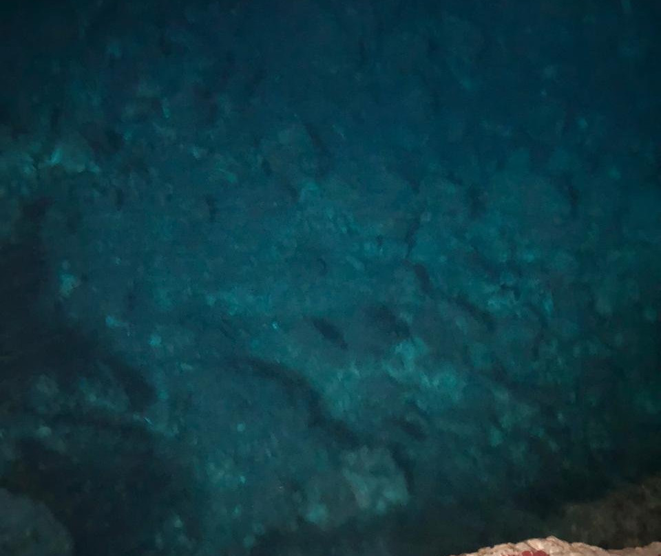 Santo Domingo Excursion-圣多明哥必去景点