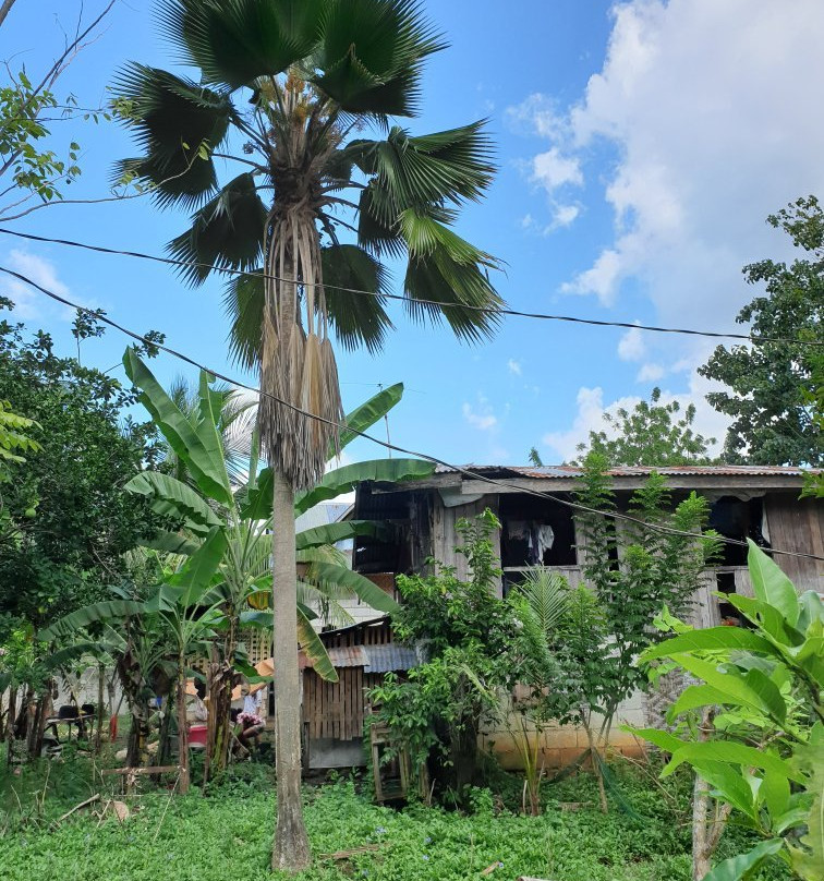 维娜尼特度假村主图