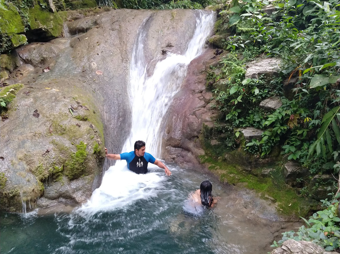 Jardin Huasteca主图