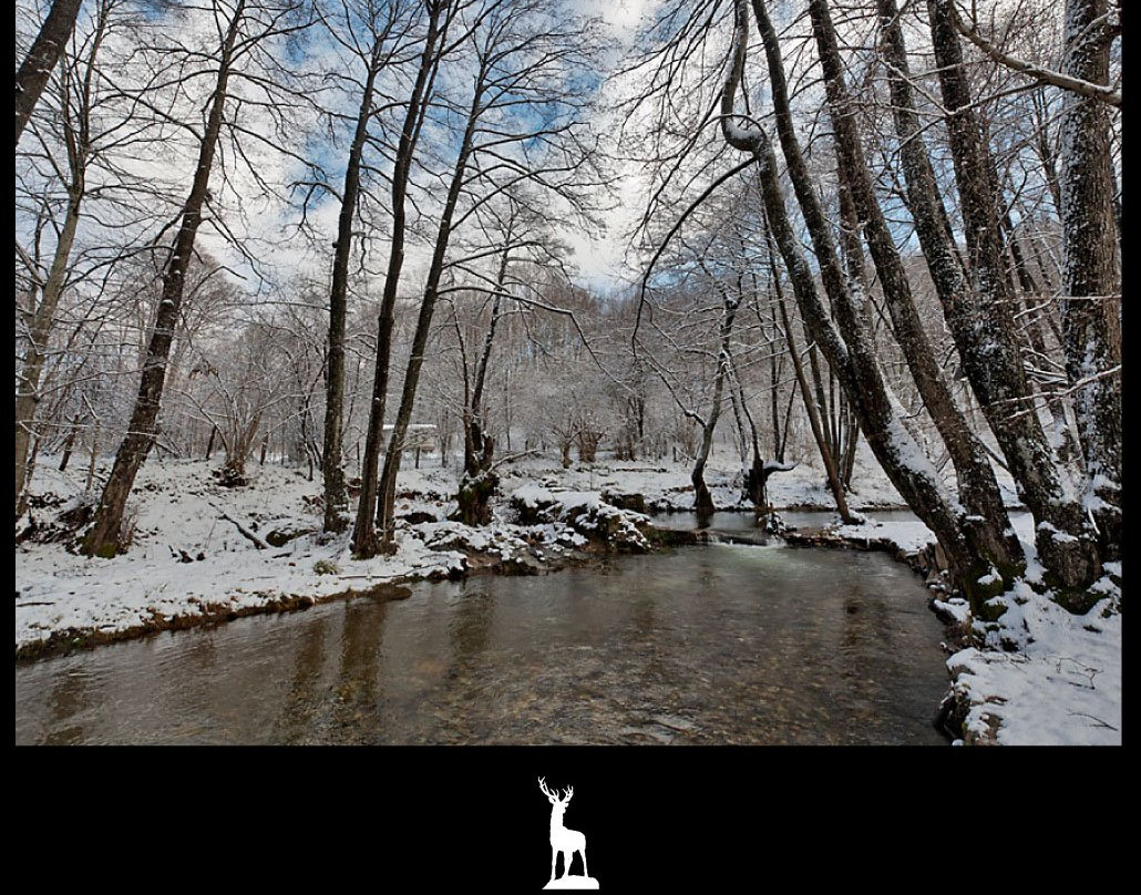 Palivor Ciftligi主图