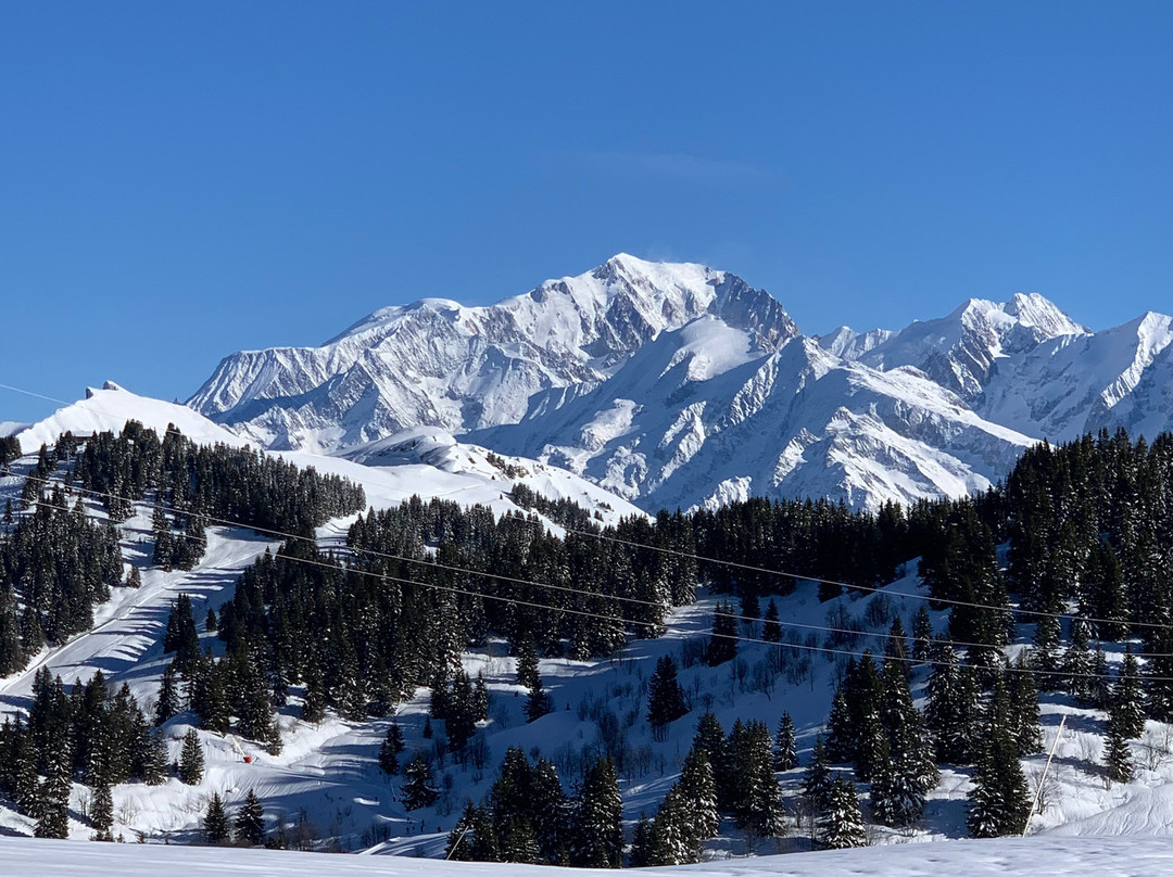 Mont Blanc Lodge Hauteluce