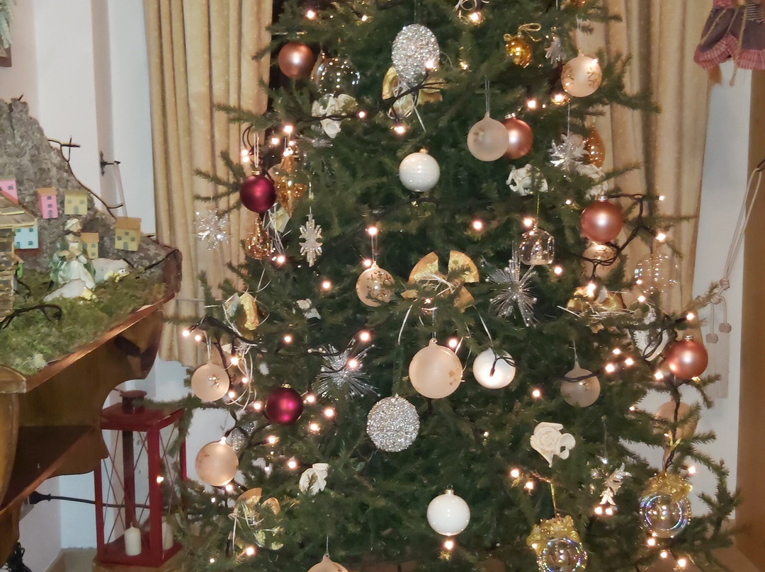 Albergo Venezia主图