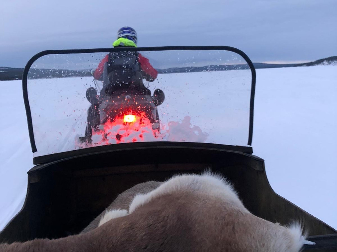 Inarin Kala Ukko-伊纳里必去景点