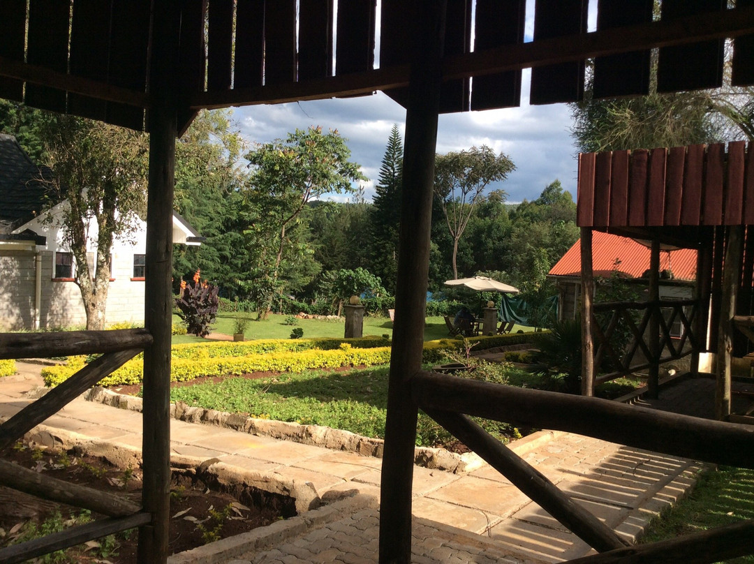 Sahara Gardens主图