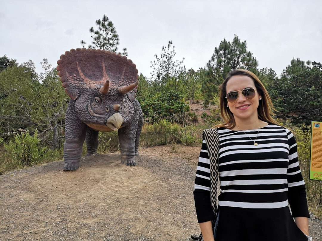 Gondava El Gran Valle de los Dinosaurios-莱瓦镇必去景点