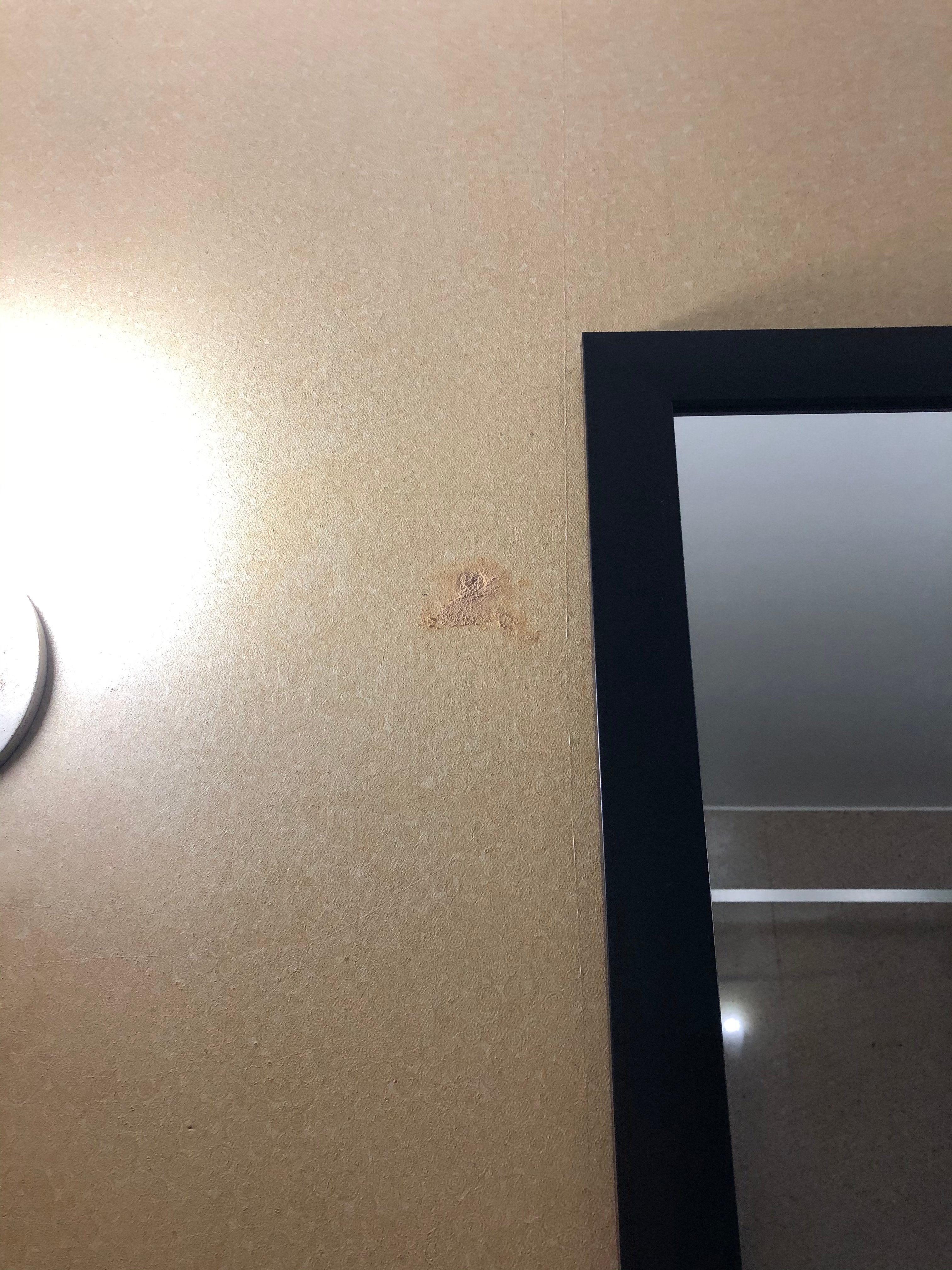 Sleep Inn & Suites University / Shands-portrait