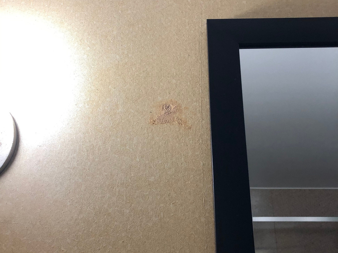 Sleep Inn & Suites University / Shands主图