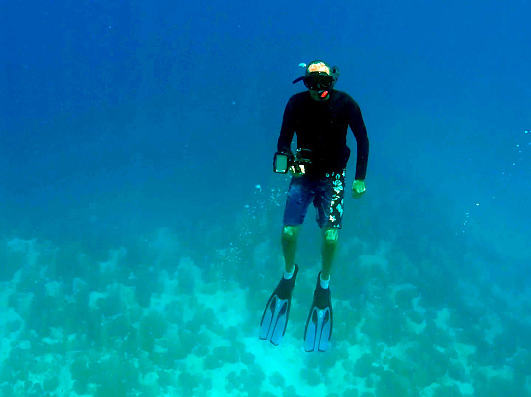 Tikehau Ocean Tour-提克豪环礁必去景点