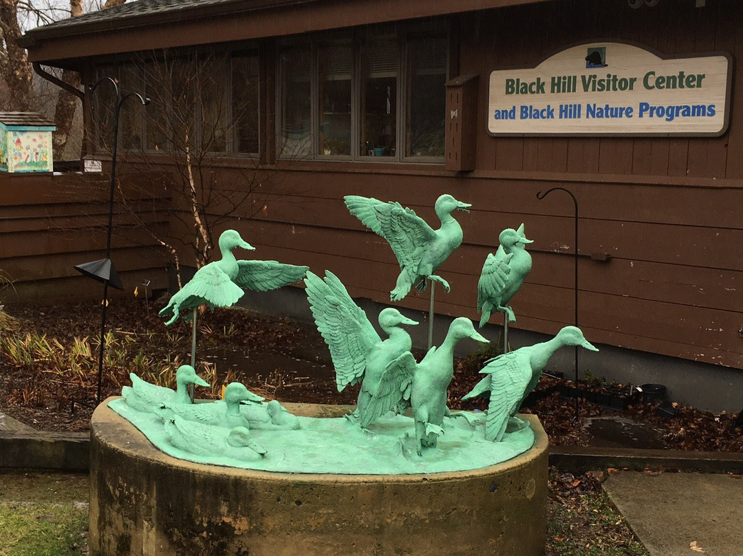 Black Hill Regional Park-Boyds必去景点