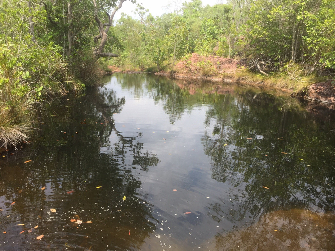 Walker Creek-Litchfield National Park必去景点