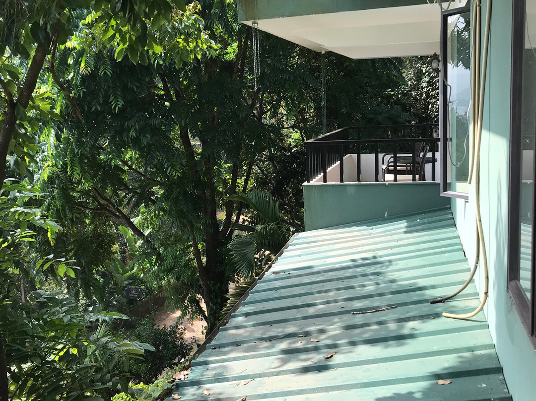 Wayanad Silver Green Holiday Enclaves主图