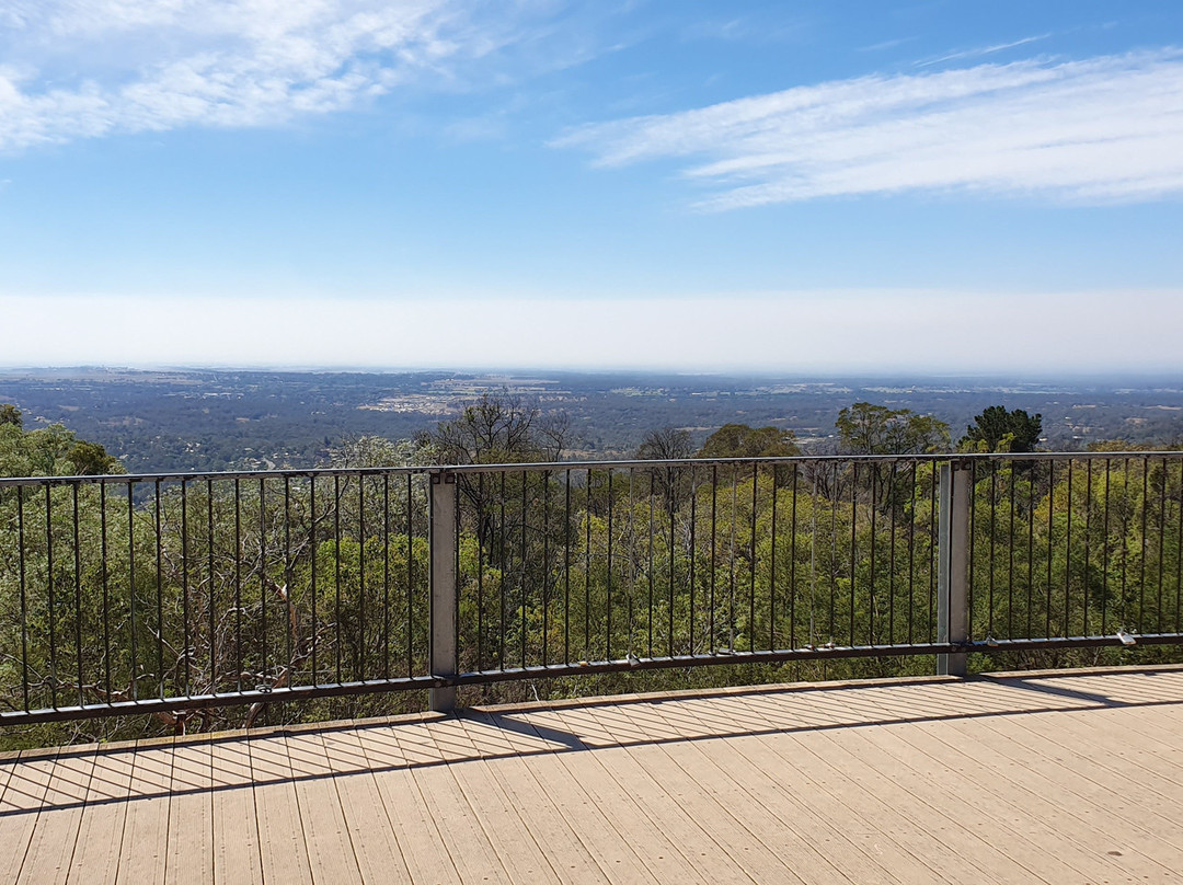 Bellbird Hill Lookout景点图片