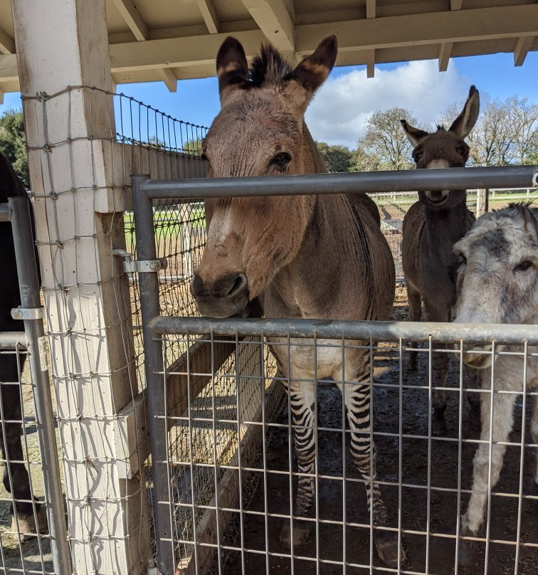 Seein' Spots Farm-索尔万必去景点