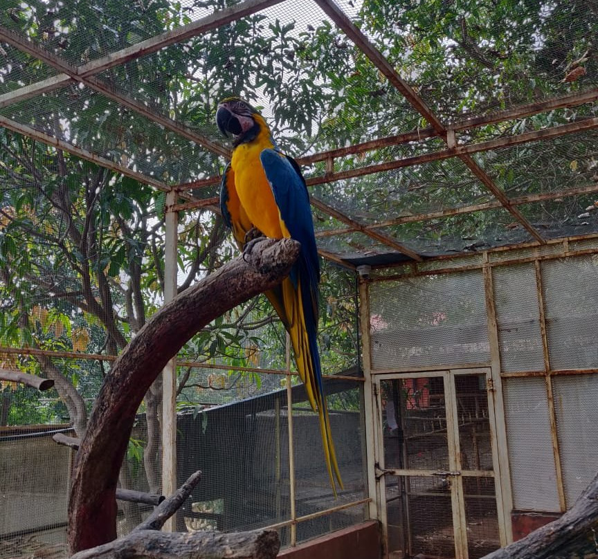 Surya Shibir Resort主图