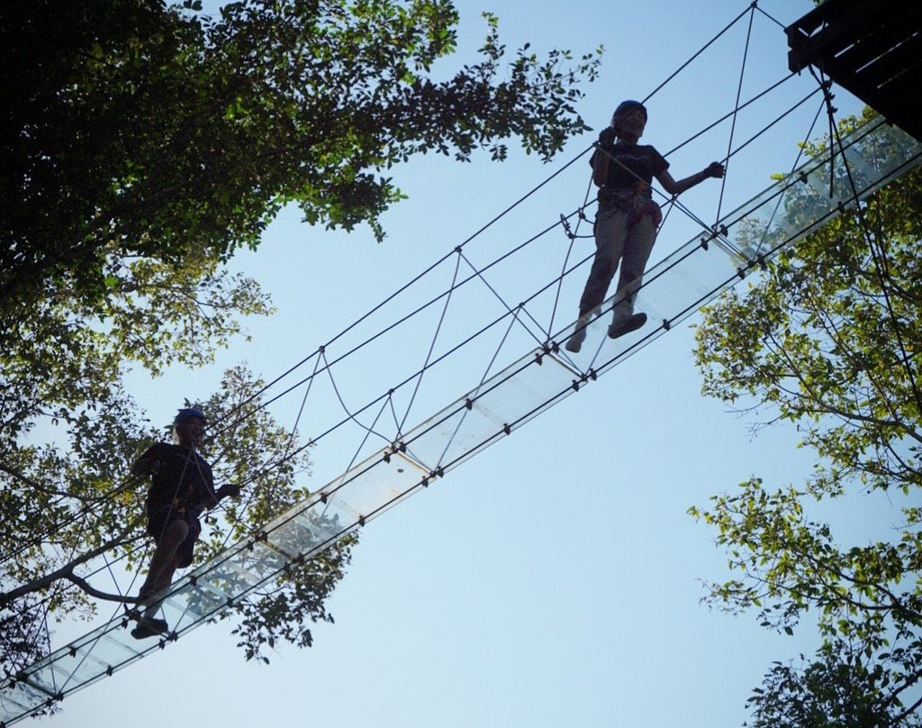 Tree Top Adventure Park-华欣必去景点