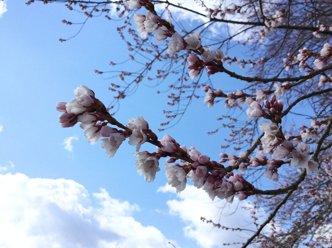 Funabasamanai Yokawa no Ichiridzuka Ato-柴田町必去景点