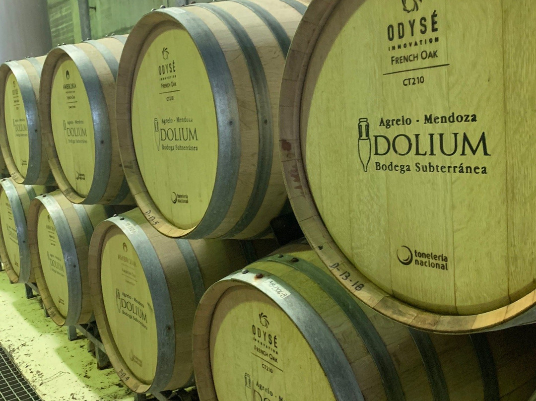 Dolium Winery景点图片