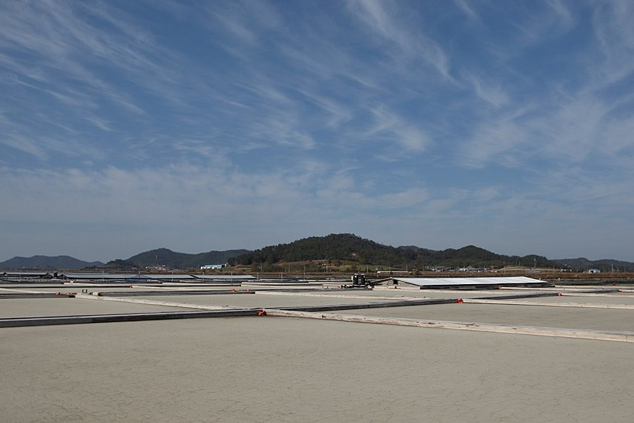Taepyeong Salt Farm-新安郡必去景点