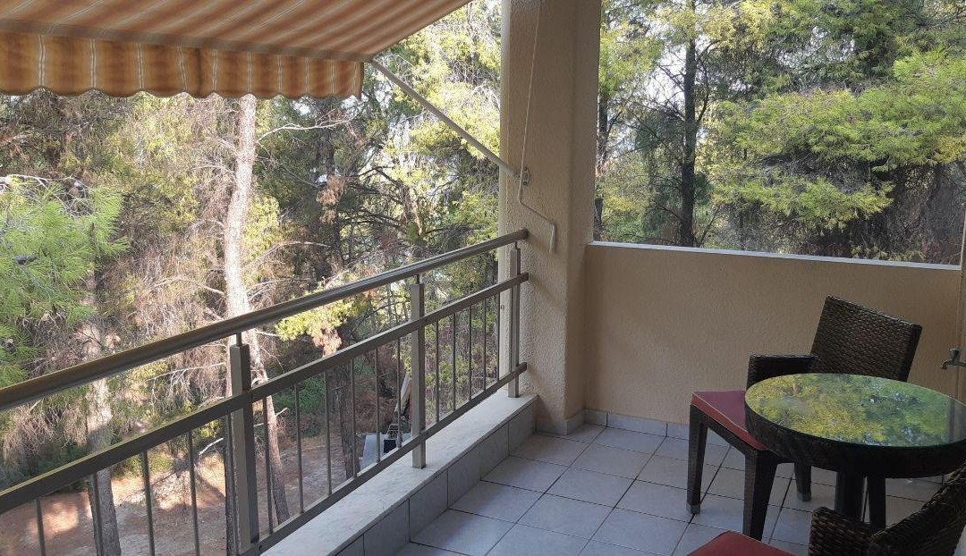 德律阿德斯酒店主图