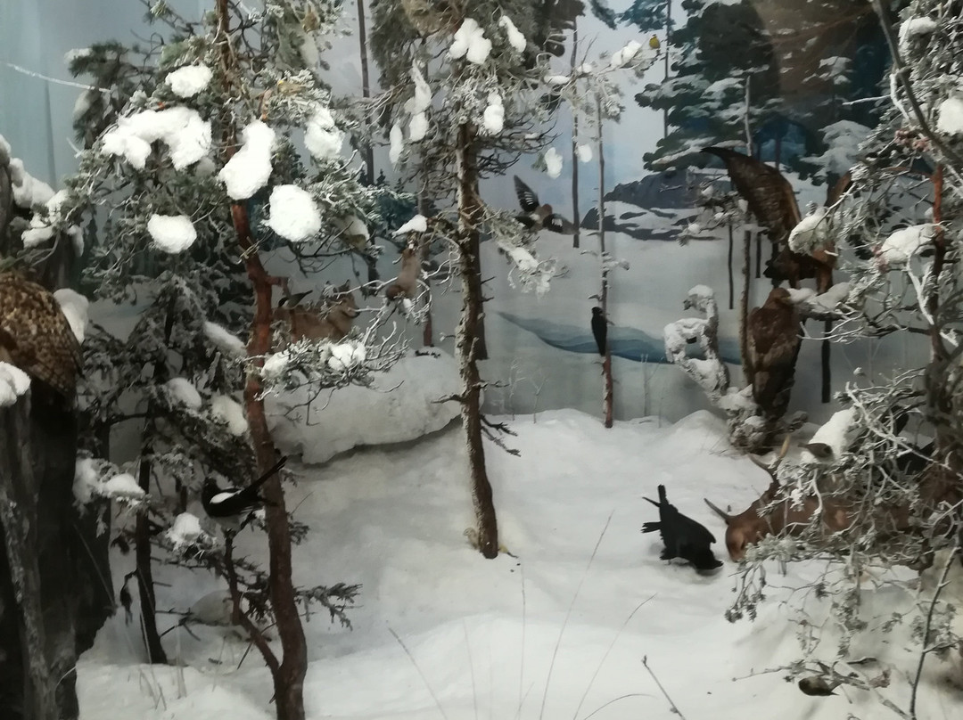 Turku Biological Museum景点图片