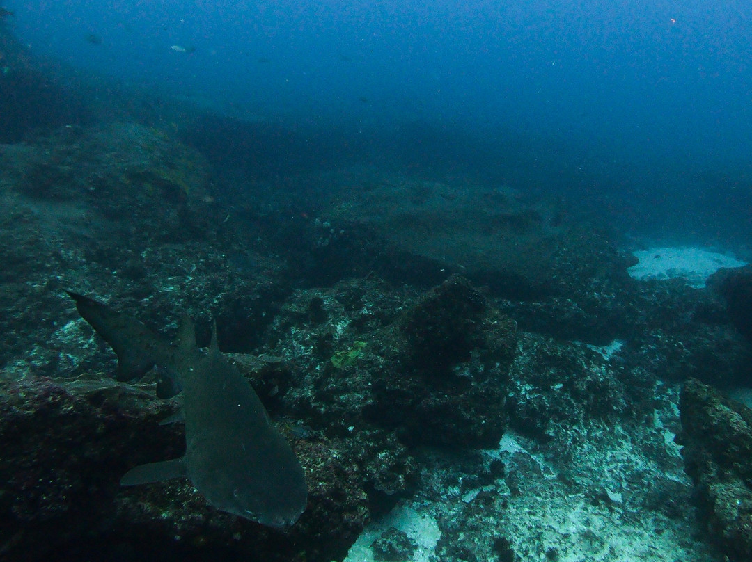 Wetu Safaris-Umkomaas必去景点