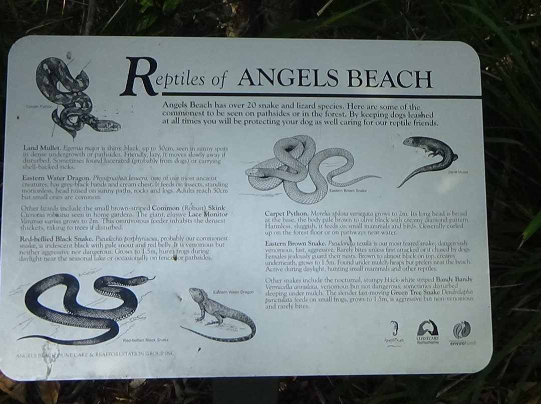 Angels beach & Flat Rock景点图片